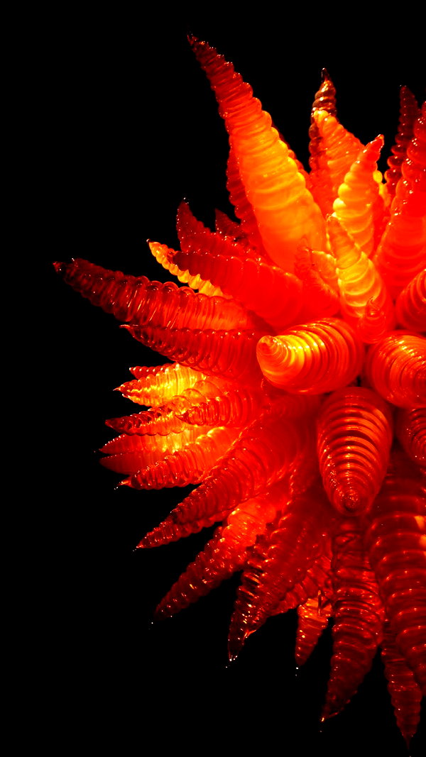 maruliners archive image