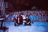 cannonstheband Altpins Profile Picture