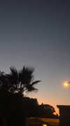 avital_1010.2003 Altpins Profile Picture