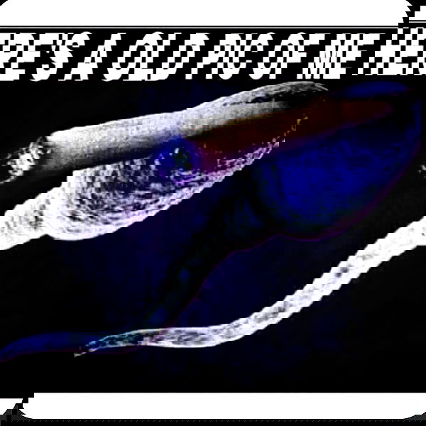 missnyxdawn missnyxdawn archive image