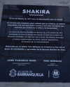 shakira Altpins Profile Picture