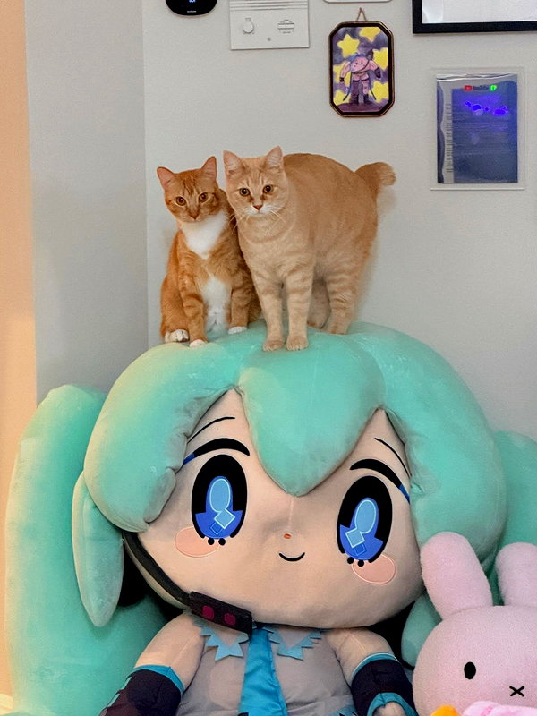 emiru.jpg instagram image archive image