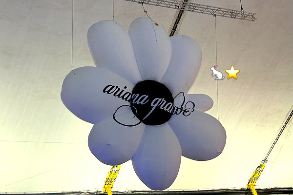 pizza4alice instagram image archive image