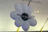 pizza4alice Altpins Profile Picture