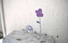 lolontlia Altpins Profile Picture
