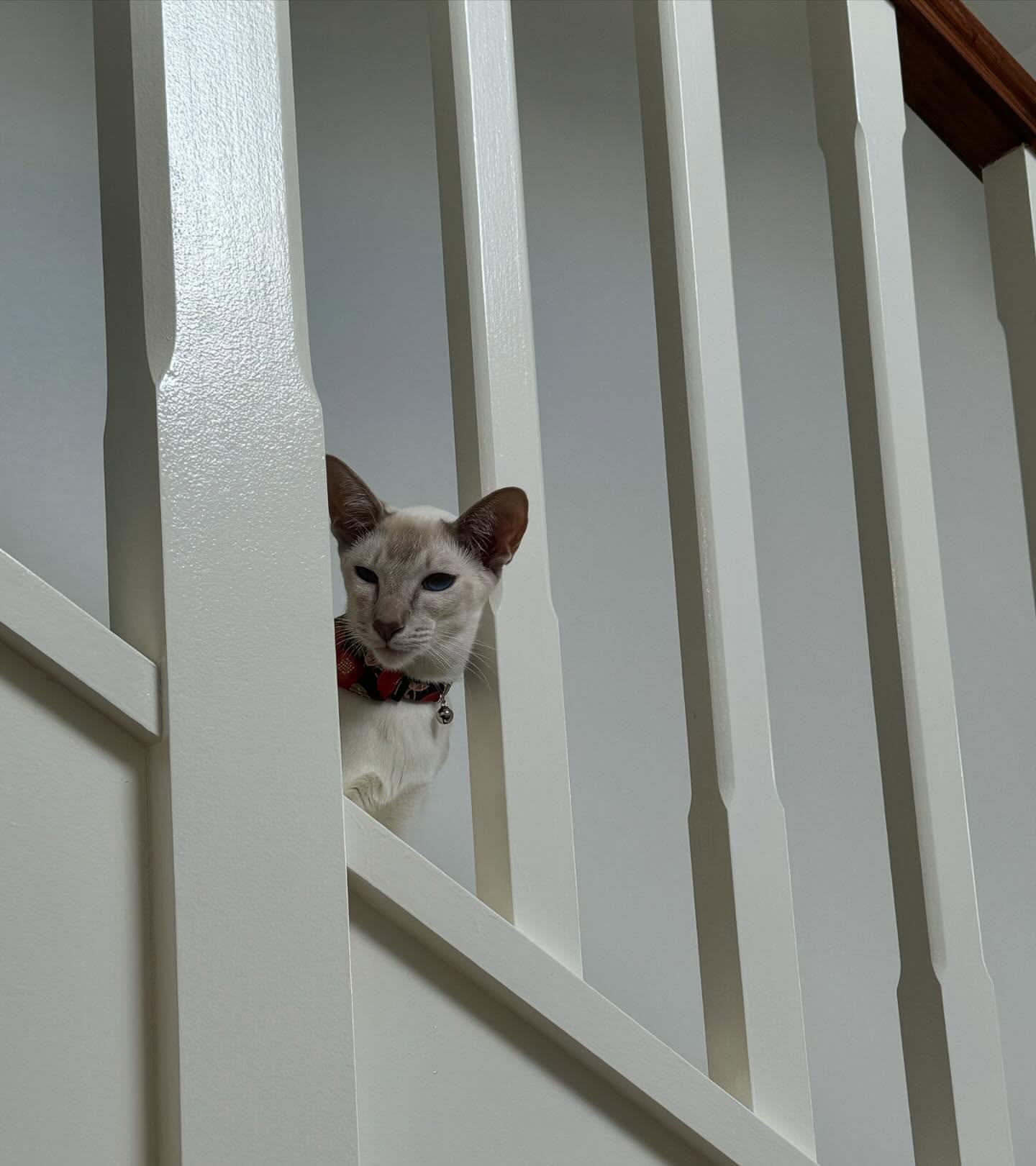 jtilb2 instagram image archive image