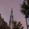 goral.sa Altpins Profile Picture