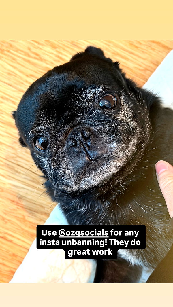 sneesnaw2.0 instagram image archive image