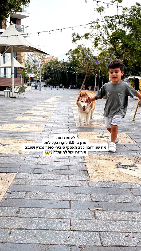 levy.roi instagram image archive image