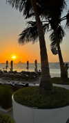 seline_paz Altpins Profile Picture