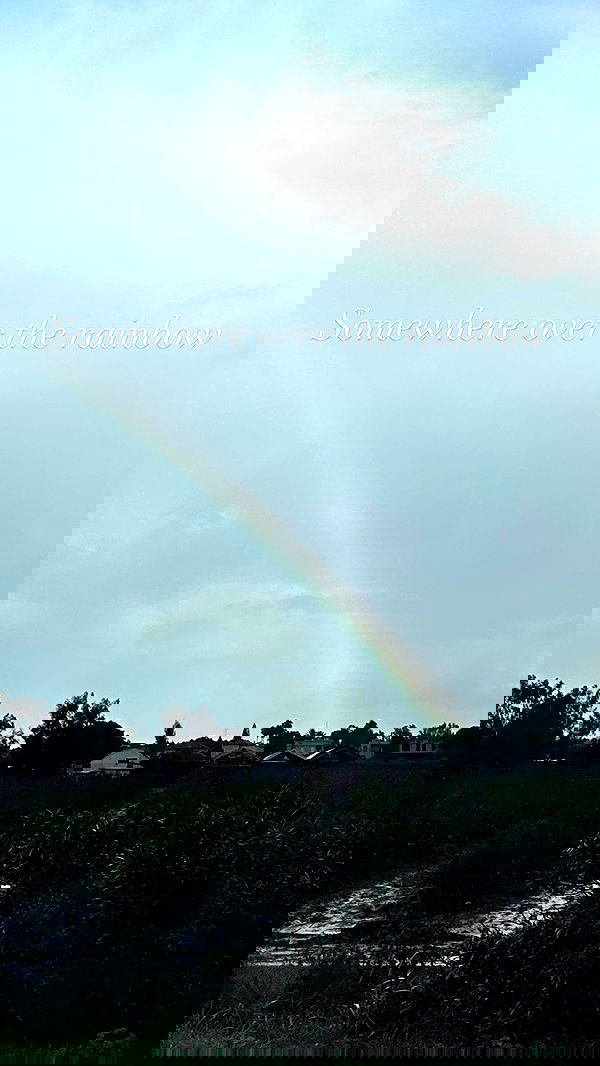 liashaked liashaked archive image