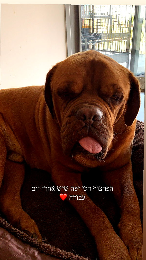 Archived image from @elaysolomon on Instagram