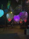 nikoleta.milenova Altpins Profile Picture