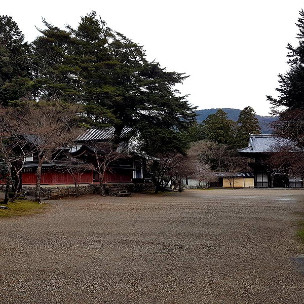 muze instagram image archive image