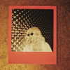 xtina Altpins Profile Picture
