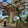michalcohen___ Altpins Profile Picture