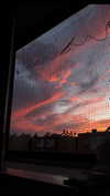 babynympho_archive Altpins Profile Picture