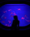sp1der_eggs Altpins Profile Picture