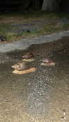 m1ry2m_ Altpins Profile Picture