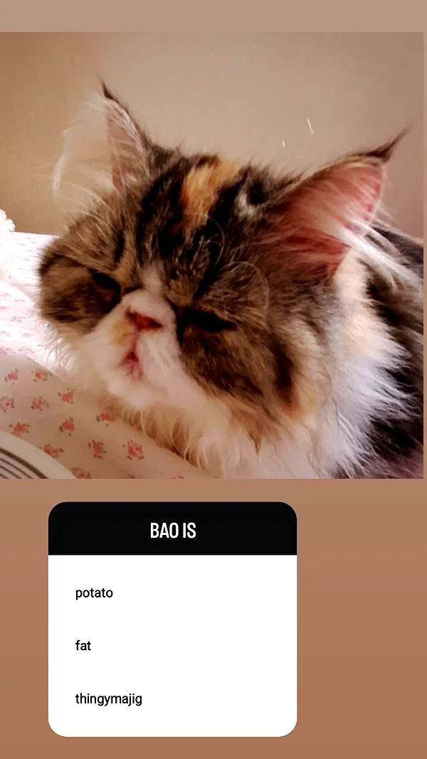 mirekyarahire instagram image archive image