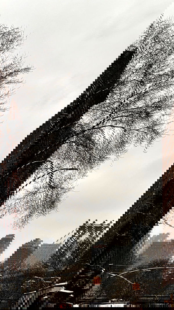 taylor.creeden taylor.creeden archive image