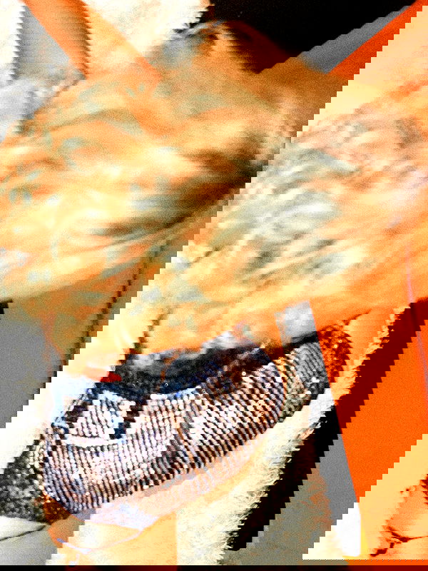 sabrinacarpenter sabrinacarpenter archive image