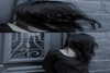 hav_oku Altpins Profile Picture