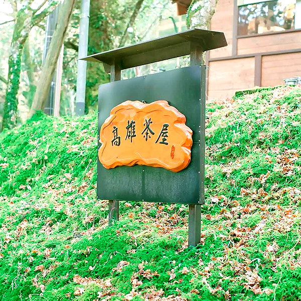 muze instagram image archive image