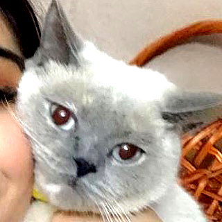 owlydiaa instagram image archive image