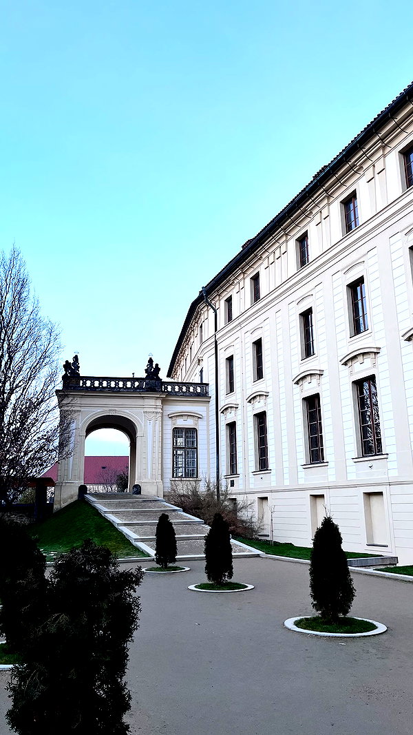 nikolpeleg nikolpeleg archive image