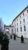 nikolpeleg Altpins Profile Picture