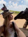 whylollycry Altpins Profile Picture