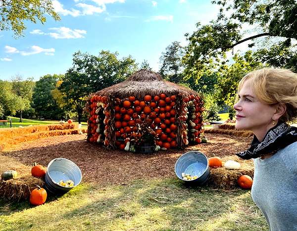 nicolekidman instagram image archive image