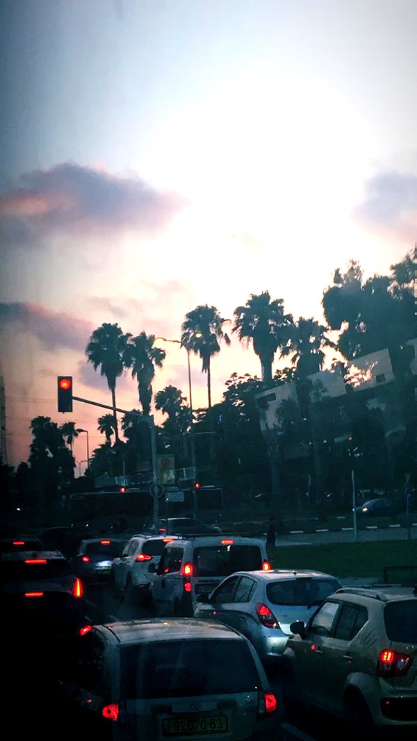 yaelxyazdi instagram image archive image