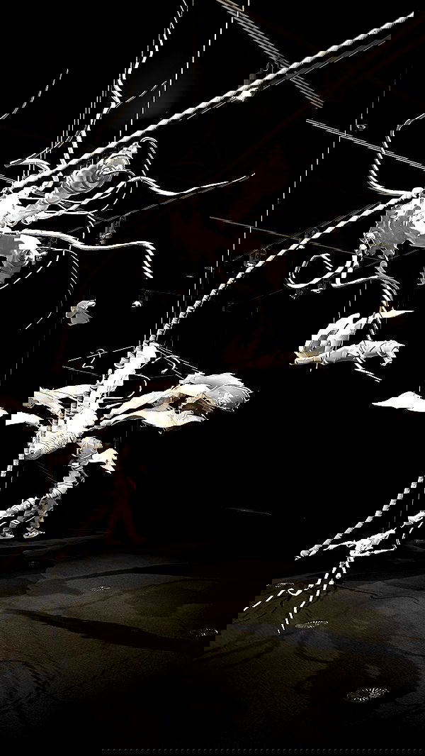 taylor.creeden taylor.creeden archive image