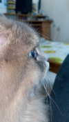 _mashachka_ Altpins Profile Picture