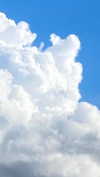 babynympho_archive Altpins Profile Picture