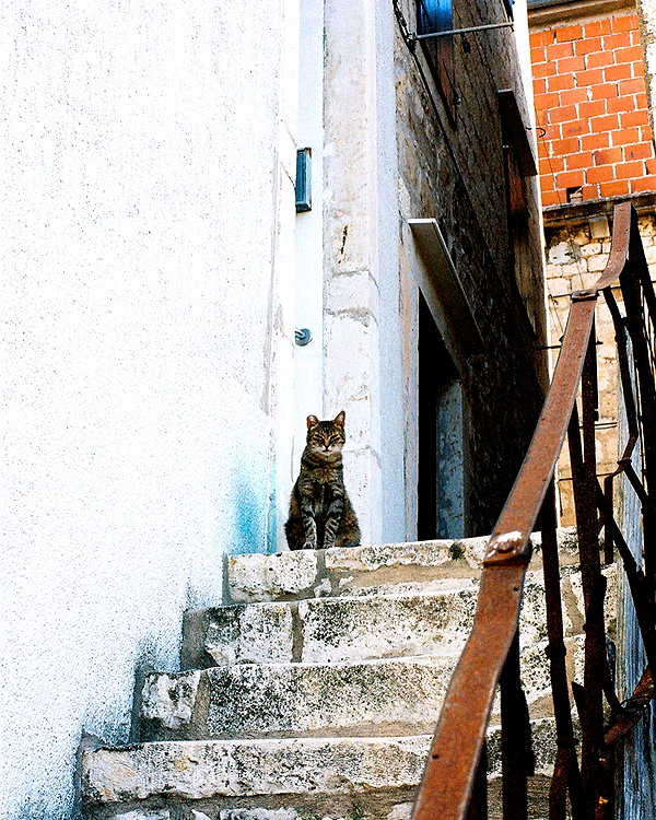 sullivang_ instagram image archive image