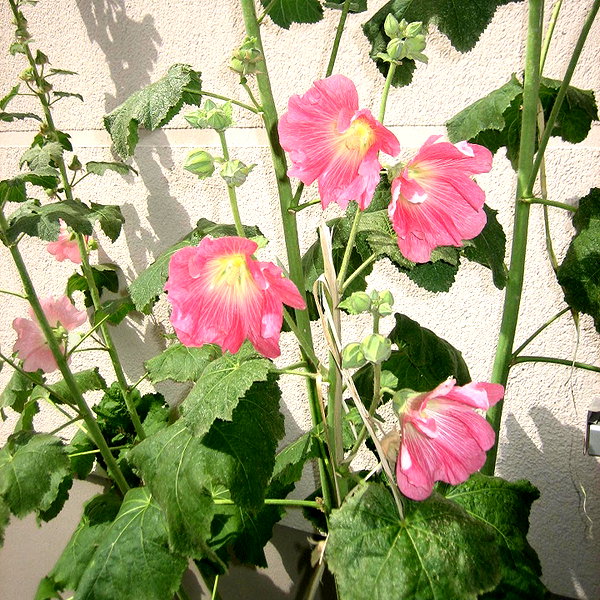 ninastodden instagram image archive image