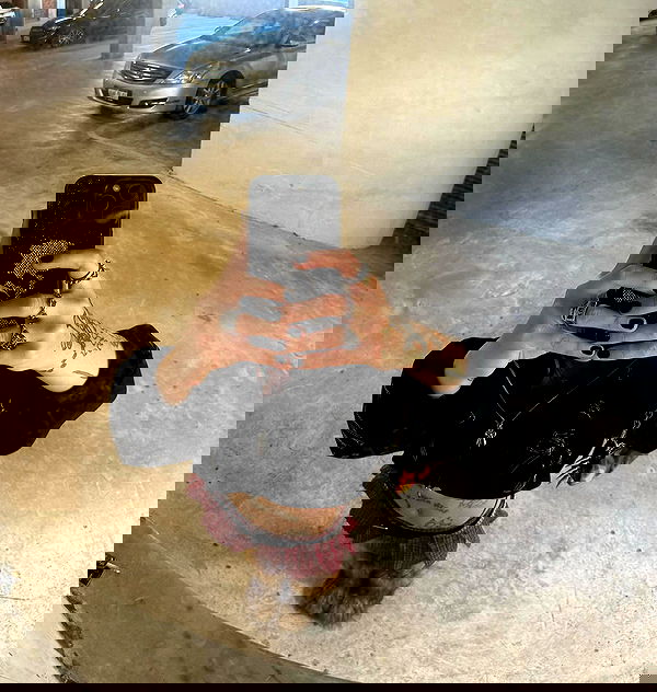 jtilb image ~ Altpins