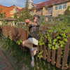forestowwwl Altpins Profile Picture