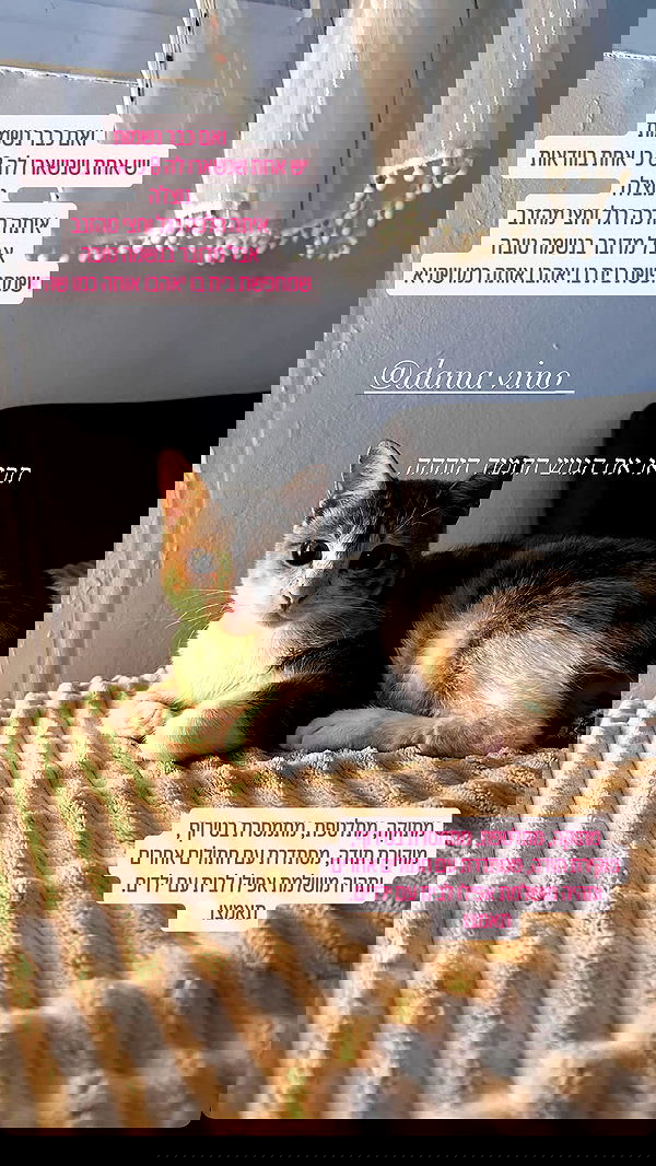 mishel116 mishel116 archive image