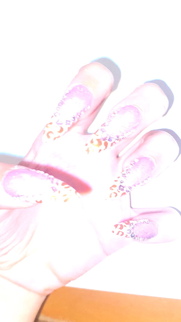 xxk1tty4nnaxx xxk1tty4nnaxx archive image