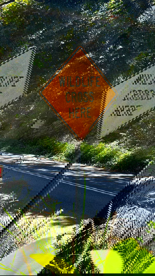 taylor.creeden taylor.creeden archive image