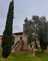 tatumchurch Altpins Profile Picture