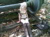 ash.onme Altpins Profile Picture