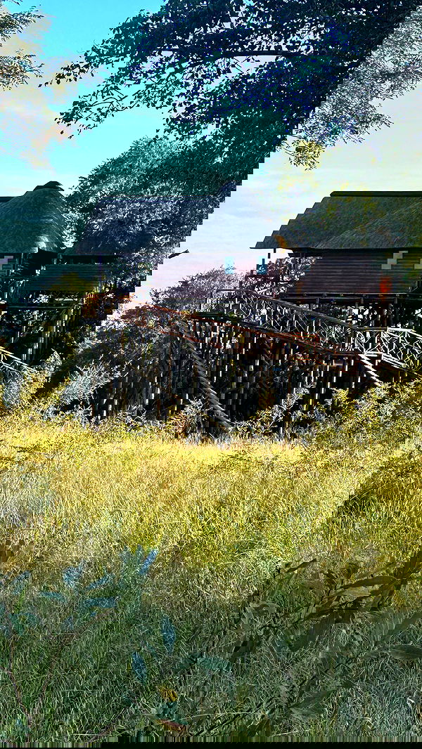 taylor.creeden taylor.creeden archive image