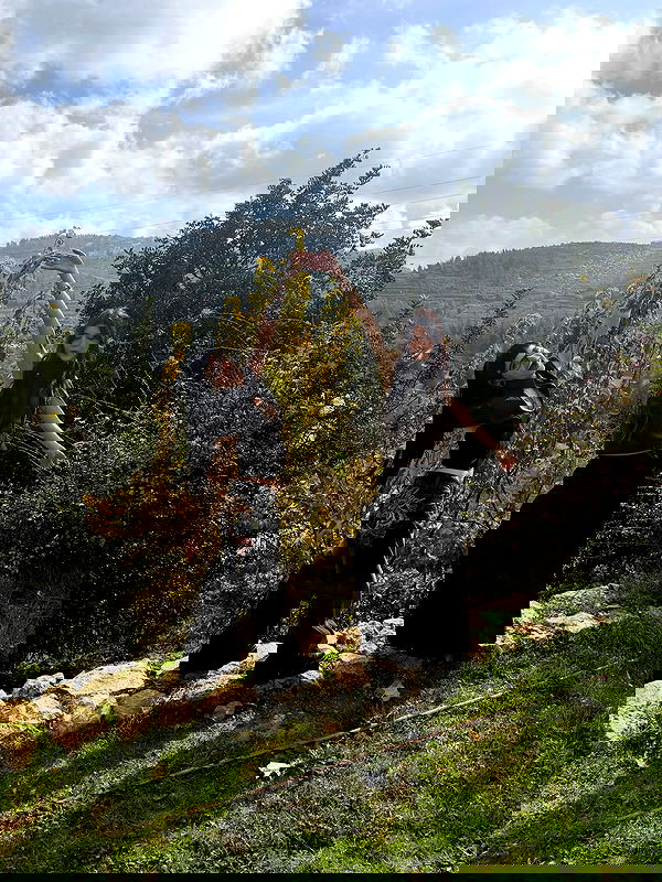 strawberryshanz strawberryshanz archive image