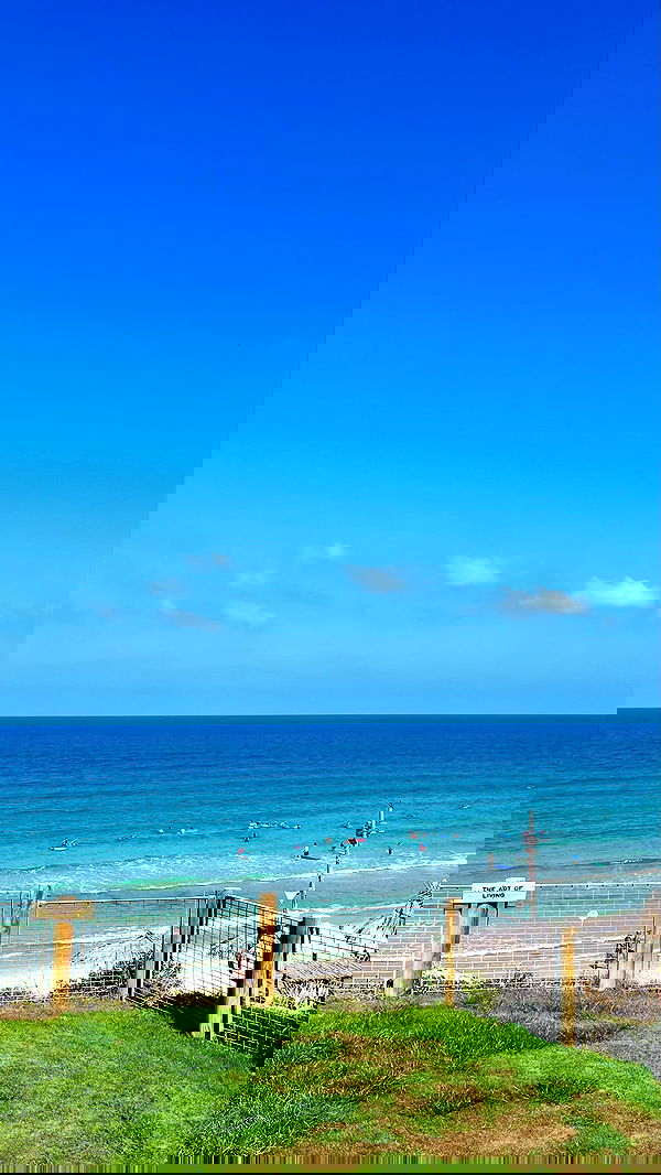 yeela__ yeela__ archive image