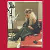 xtina Altpins Profile Picture